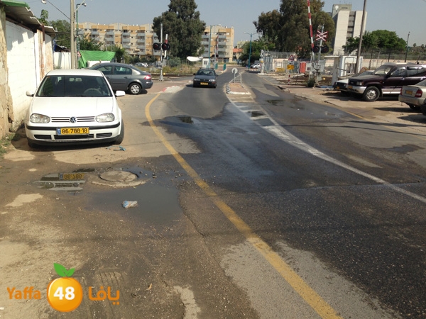 mjarym7atalud504 (1).JPG